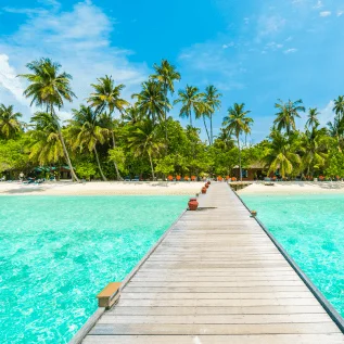 Subscribe Us Subscribe